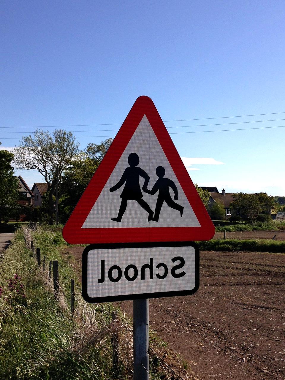 Icon representing beginner course with a book and lightbulb