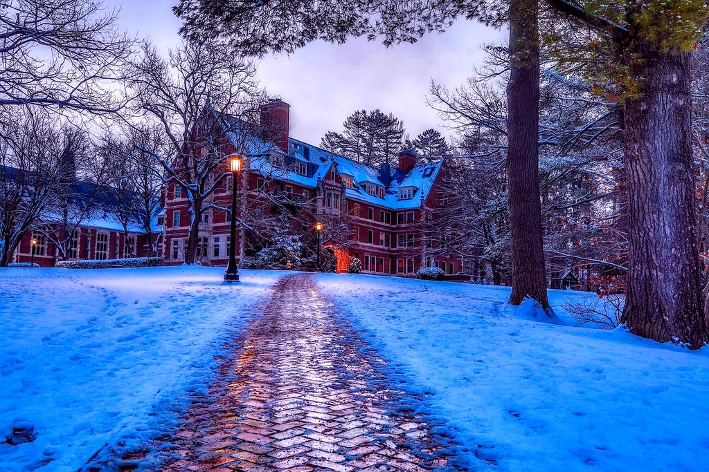 Brain neural pathways illustration